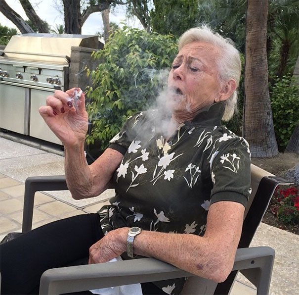 hondadeal4vets's tweet photo. Why I got your grandma hittin the gas? 💯⛽️ 💨 https://t.co/CfTdGp4JOg