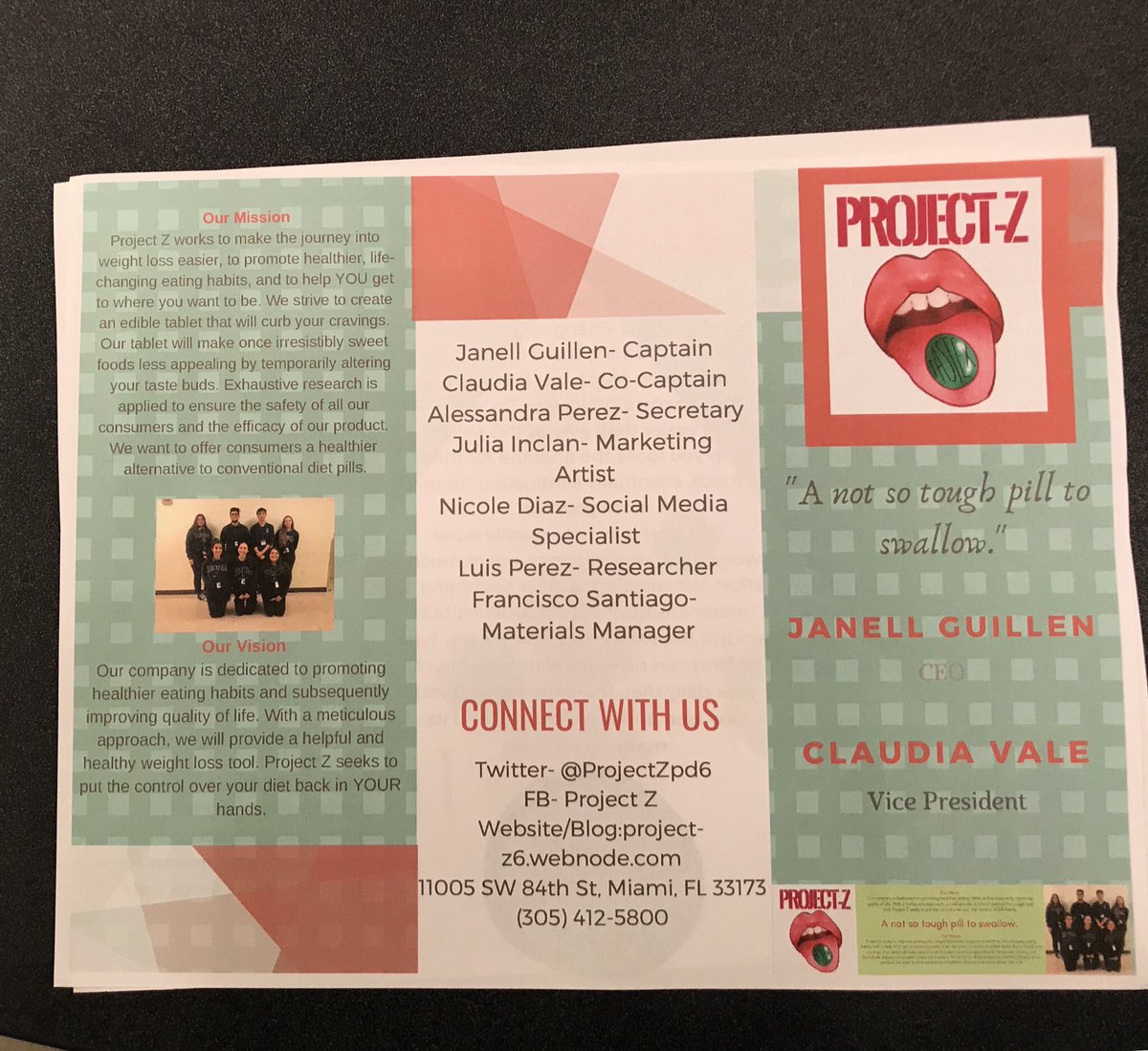 ProjectZpd6's tweet photo. Here is our finished pamphlet and flyer. Hope you like them! https://t.co/DNCZoWHDqn