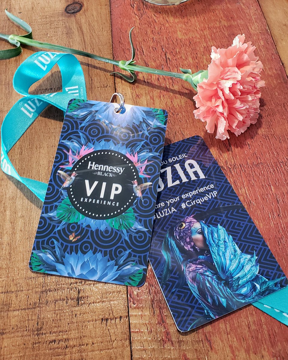 ORLThemePark360's tweet photo. Just hanging out on a Saturday. #cirquevip #luzia https://t.co/GlV6H3hc6k