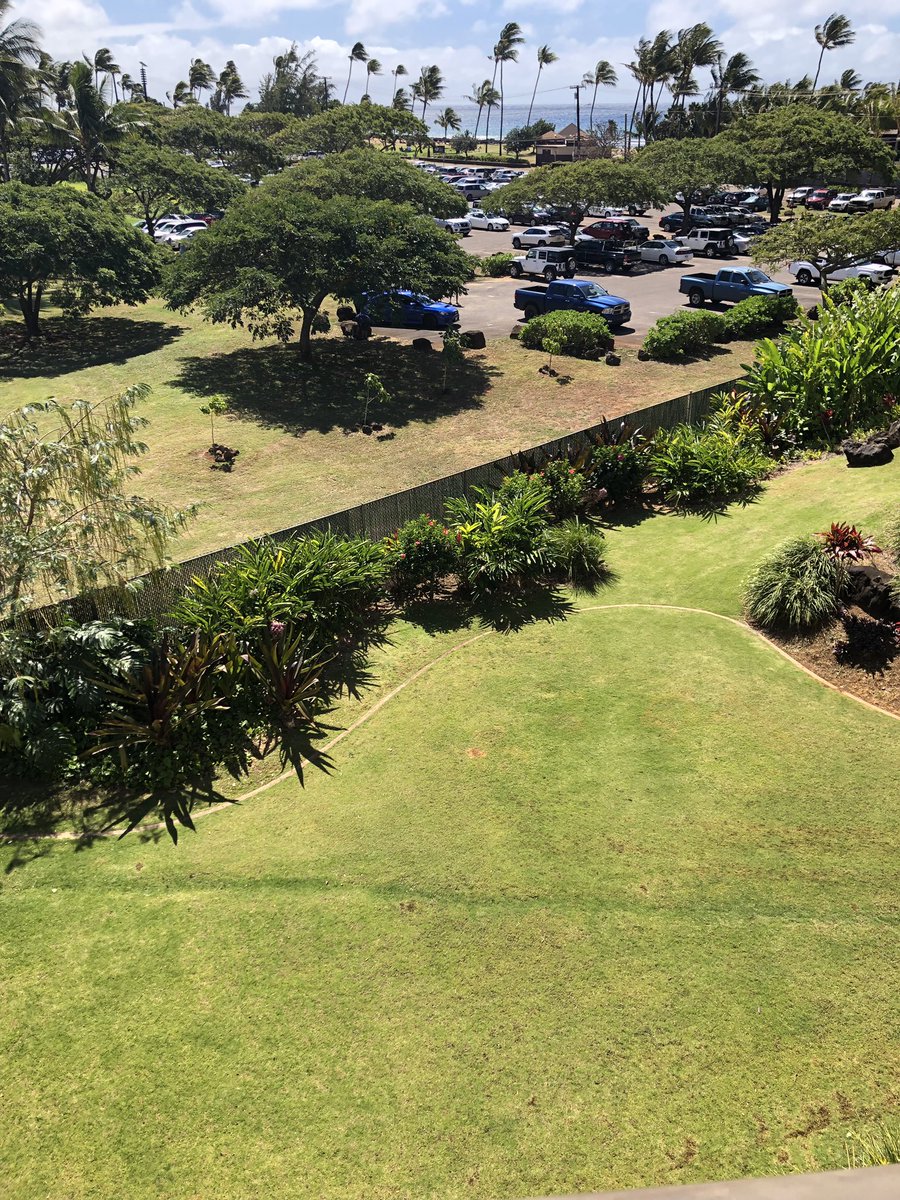 laurashivers's tweet photo. @MarriottBonvoy ocean view looks kind of like a parking lot....first time paying for the upgrade and I’ve learned my lesson! https://t.co/ygAGy5IwxU
