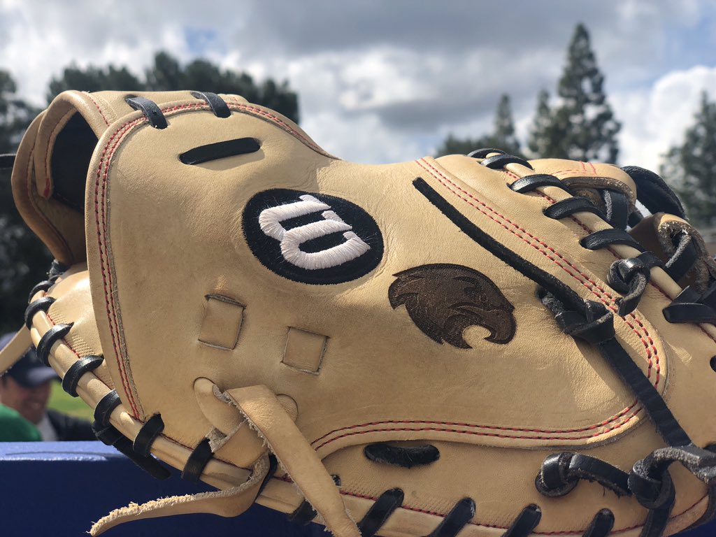 My sons baseball gloves