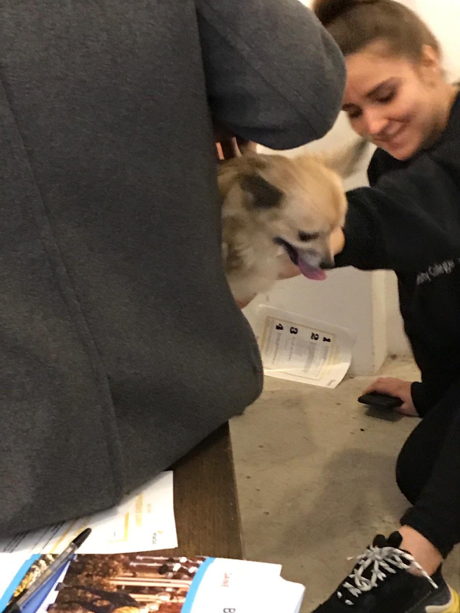 More pictures from the dog cafe at Hello Love on 24 Feb raising mental health awareness