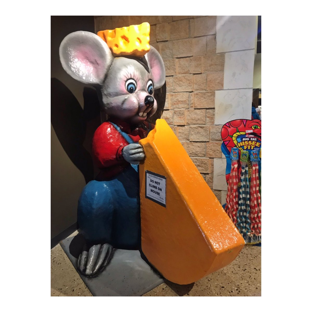 TheCathyV's tweet photo. A castle fit for me. 🧀🏰#marscheesecastle #cheesecastle #cheddar #cheese #wisconsin #kenosha #thebadgerstate #wisco #thedairystate @MarsCheeseCstle https://t.co/jUHJv5DzPp