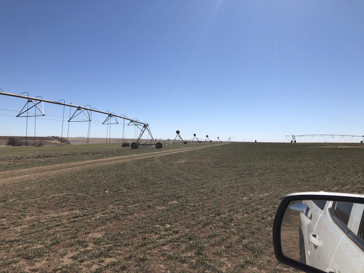 ZachMatt23's tweet photo. Pivots and wind mix about as well as me and tequila. We both just fall down and become worthless when we have to much. #westtexaswind #pivotproblems https://t.co/LEZVXvEsLH