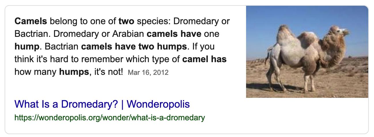 Camels