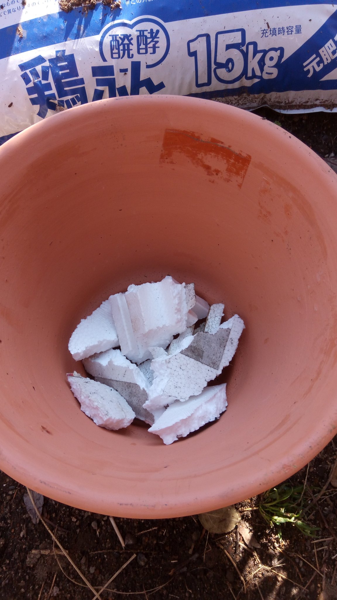伝説の446 鉢底石はスーパーで貰ってきた魚を入れる発泡スチロールで代用 W 伝説の446 鉢底石はスーパーで貰ってきた魚を入れる発泡スチロールで代用 W
