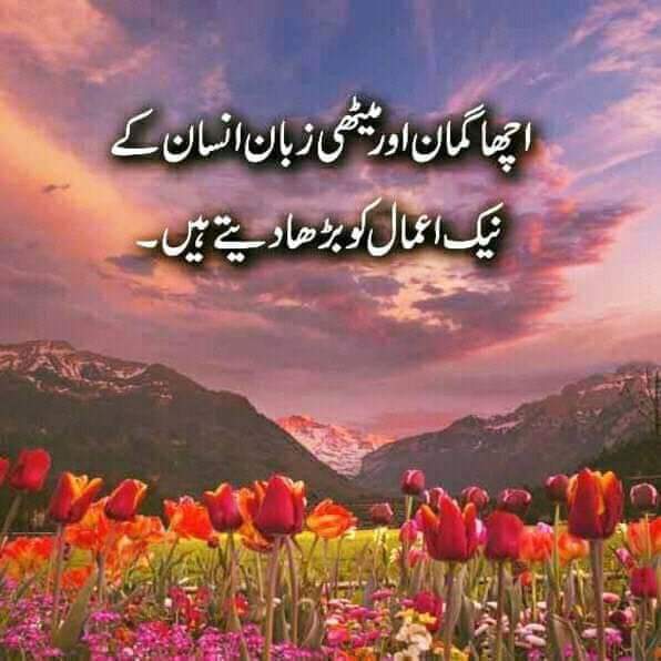 Maroof Ilahi (@ilahi_maroof) on Twitter photo 