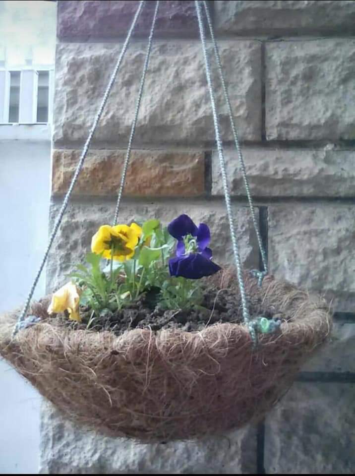 Maroof Ilahi (@ilahi_maroof) on Twitter photo 