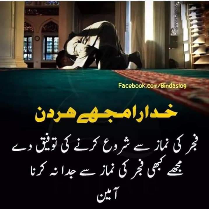 Maroof Ilahi (@ilahi_maroof) on Twitter photo 