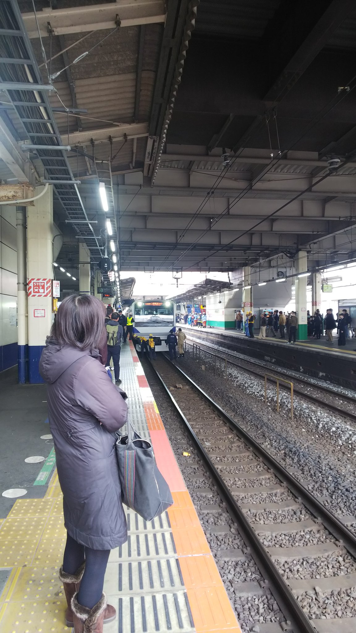 う さ ぎ い ぬ 渋田治代選手まだ引退しないで 常磐線柏駅 上り線 で人身事故 電車がホームの途中で止まっているから 多分アレ 常磐線 柏駅 人身事故 T Co O50vu5ixcn Twitter