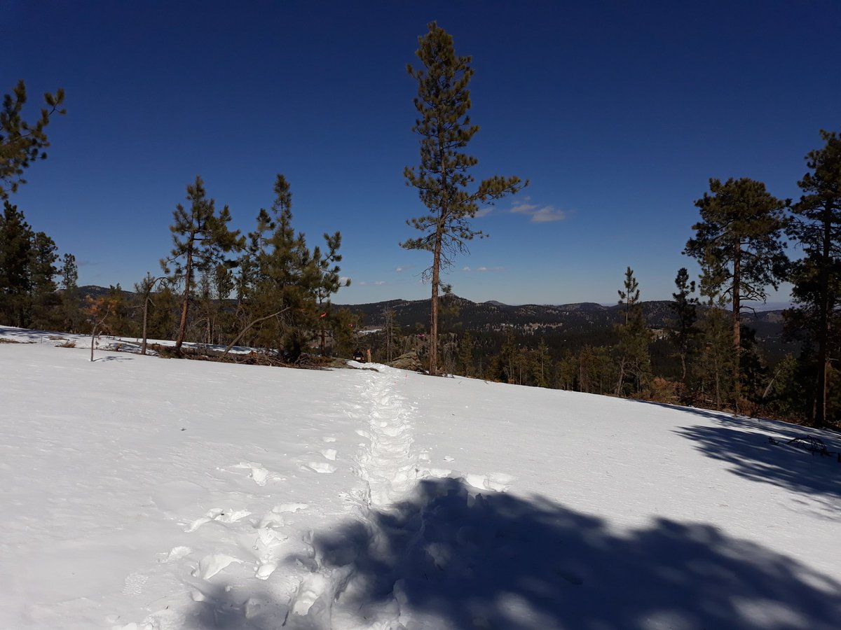 AllisonSylte's tweet photo. After a very brown cloud filled week in Denver, it was great to reintroduce my flat bois to mud at #RUFACO for @ProtectWinters! Unlike all the fast people, I had plenty of time to take pics. #vertisntreal https://t.co/RrGq2kVB1O