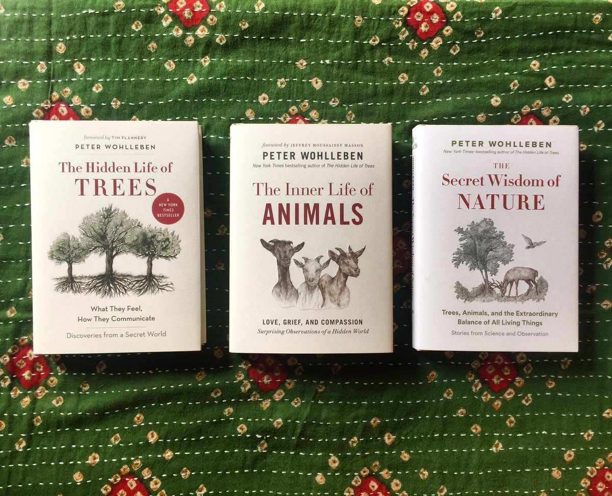 goldenbraidbook's tweet photo. The final chapter of Peter Wohlleben’s Mysteries of Nature trilogy — ‘The Secret Wisdom of Nature’ — is here. This series “shows us how to recapture our sense of awe so we can see the environment around us with completely new eyes.” #mysteriesofnature #peterwohlleben #nature https://t.co/Jax45iFSH2