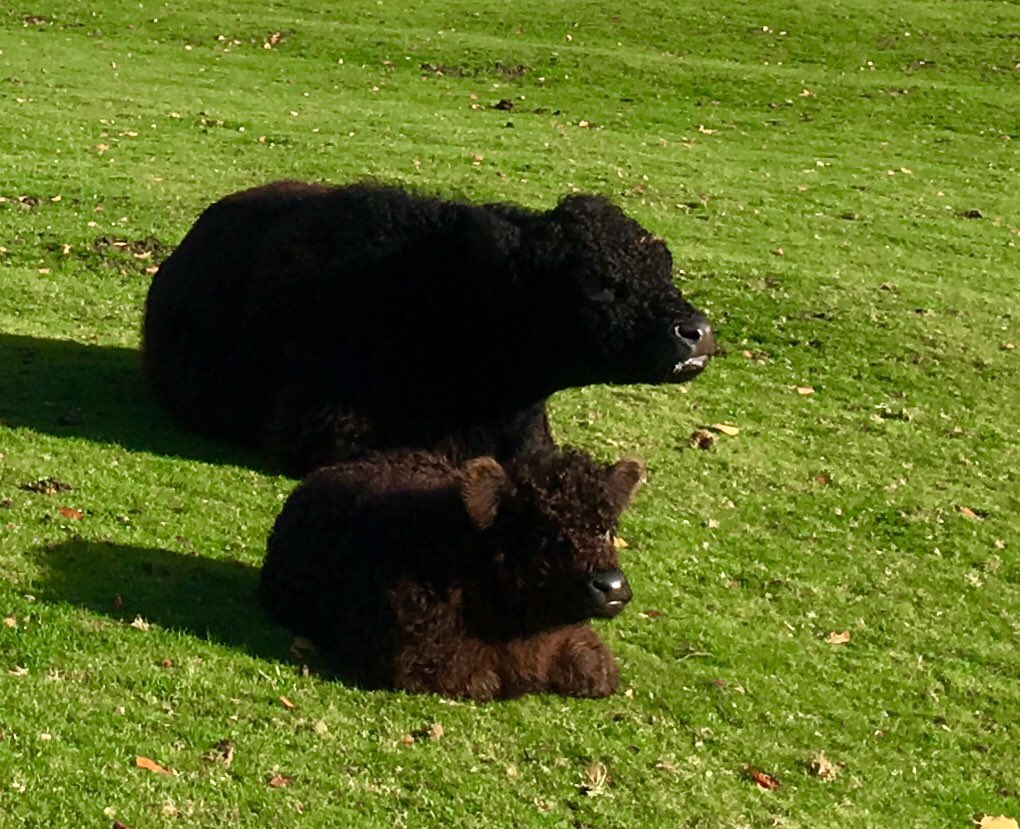 Paul T Sowden tweet media