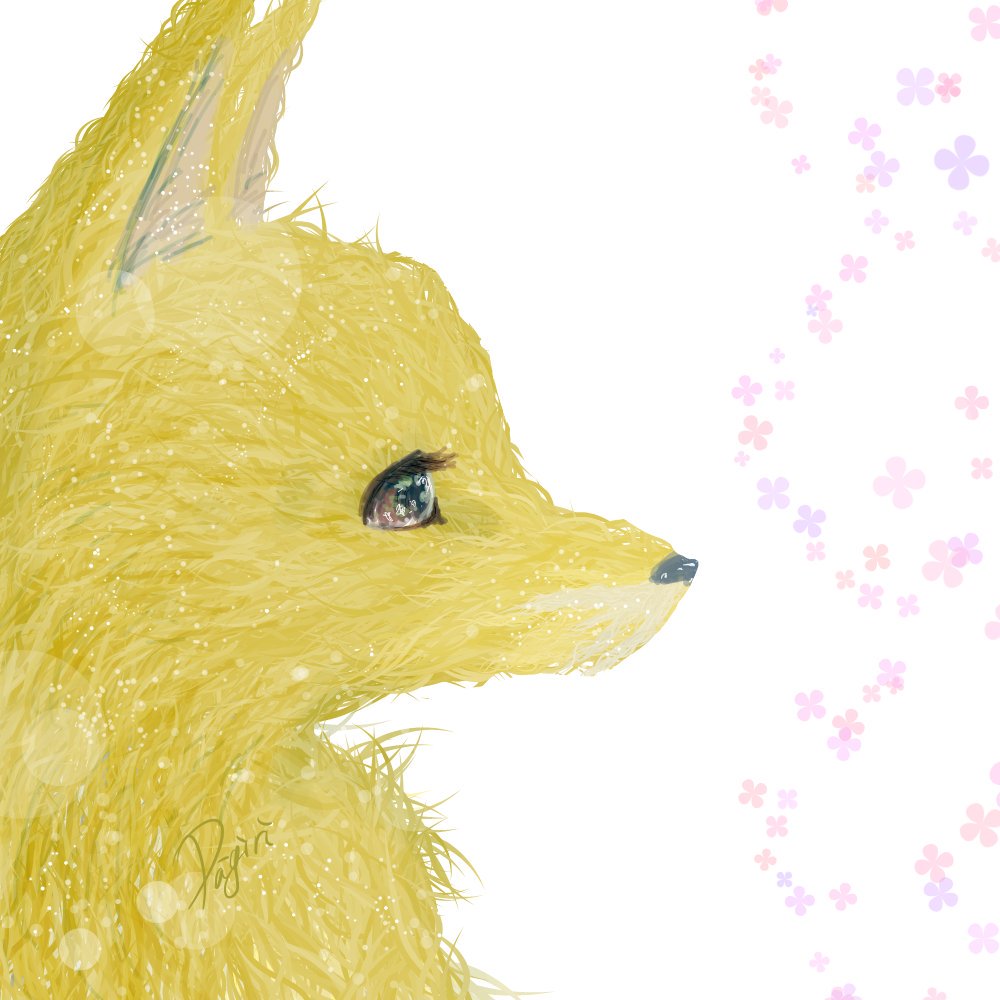 ユニークきつね イラスト 最高の動物画像