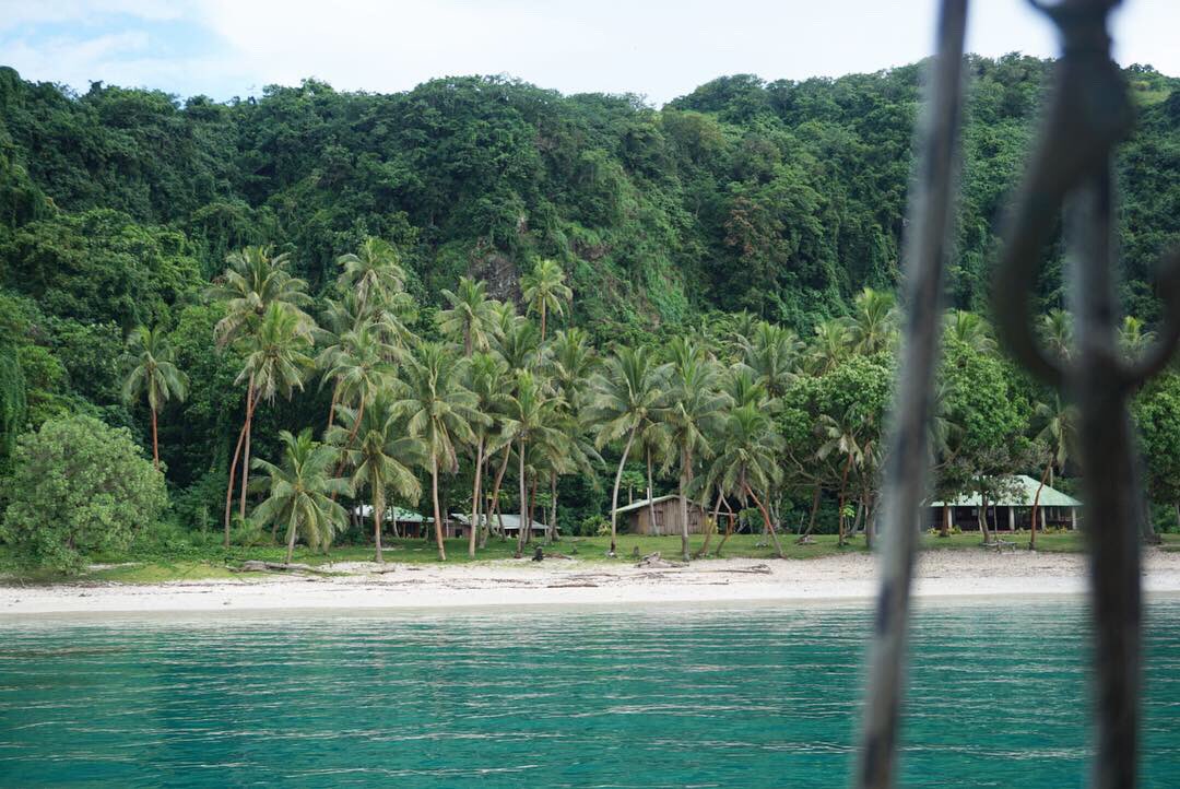 Thinking of your next #dive vacation? Heard of the Fiji Shark Dive? 🦈
.
Pacific Harbour offers #adventure both above and below the ocean surface 🤙🏽
.
With world class dive operators, offering direct access to Beqa Lagoon, we have got your next underwater adventure covered 😎