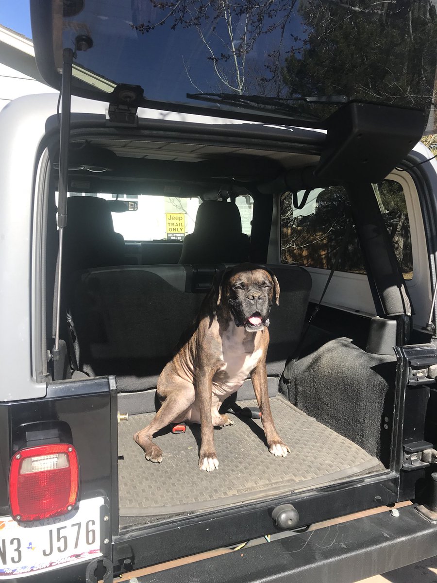 ThatOneGirlKara's tweet photo. Sunny Saturday = Jeep time.  @jeepmafia #ljwranglerunlimited #jkwranglersaharaunlimited #SaturdayVibes #hisandhers #jeepfam #tuneup #sparkplug https://t.co/n0oyu9Ay0u