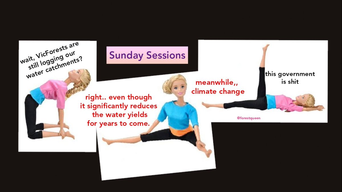 forestqueen11's tweet photo. Sunday sessions stretches one's credulity #stoploggingourforests https://t.co/BysrN7FfWz