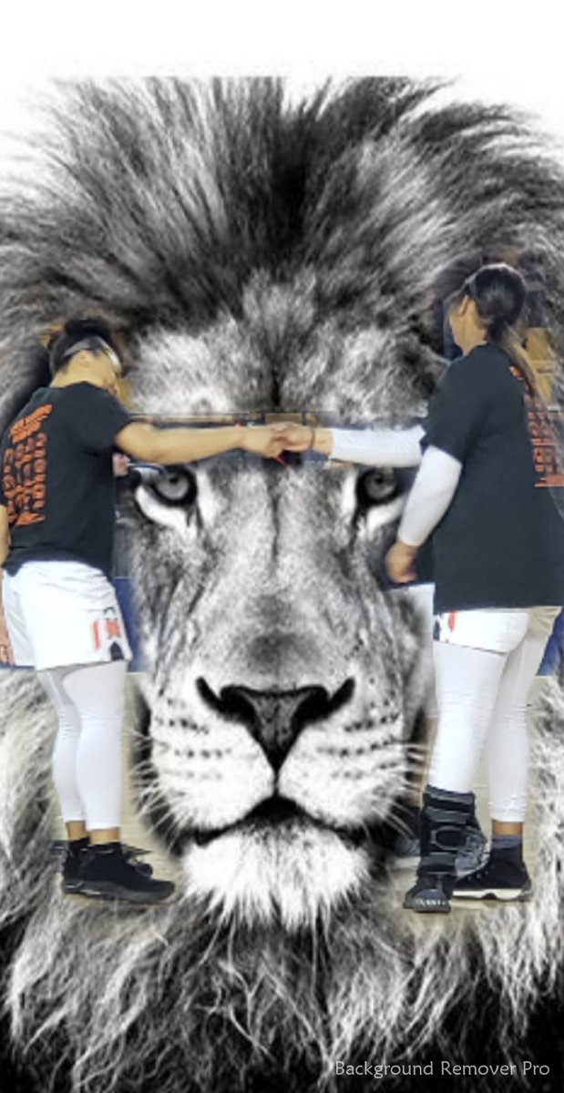 OKC_Lions_Elite tweet media
