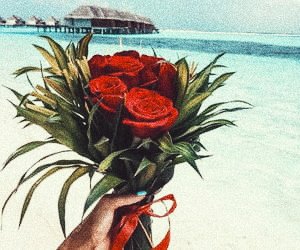 LazySelfcare's tweet photo. Summer Appreciation post https://t.co/DA1rgNVsLa