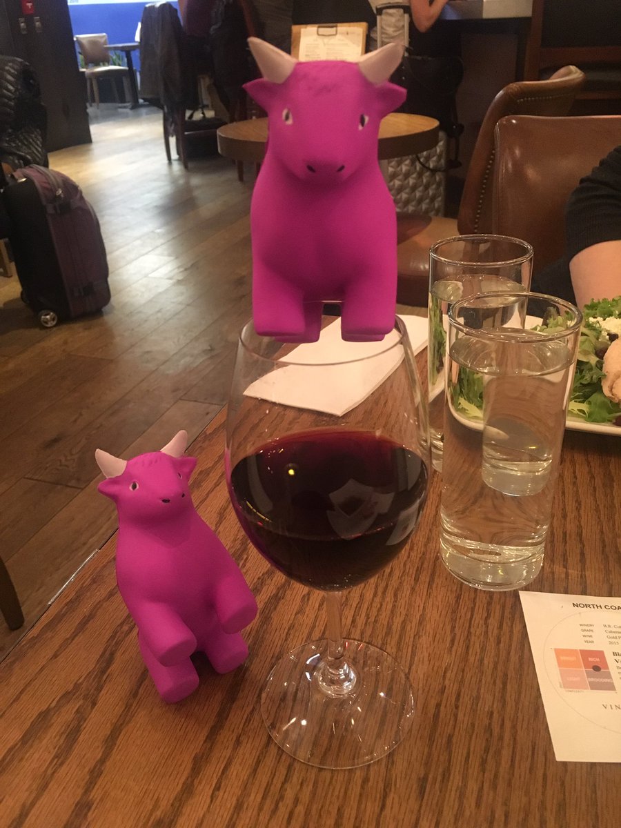 NinaEigerman's tweet photo. Taking advantage of the delay #lyonboundbulls https://t.co/KK1Av1wJ03