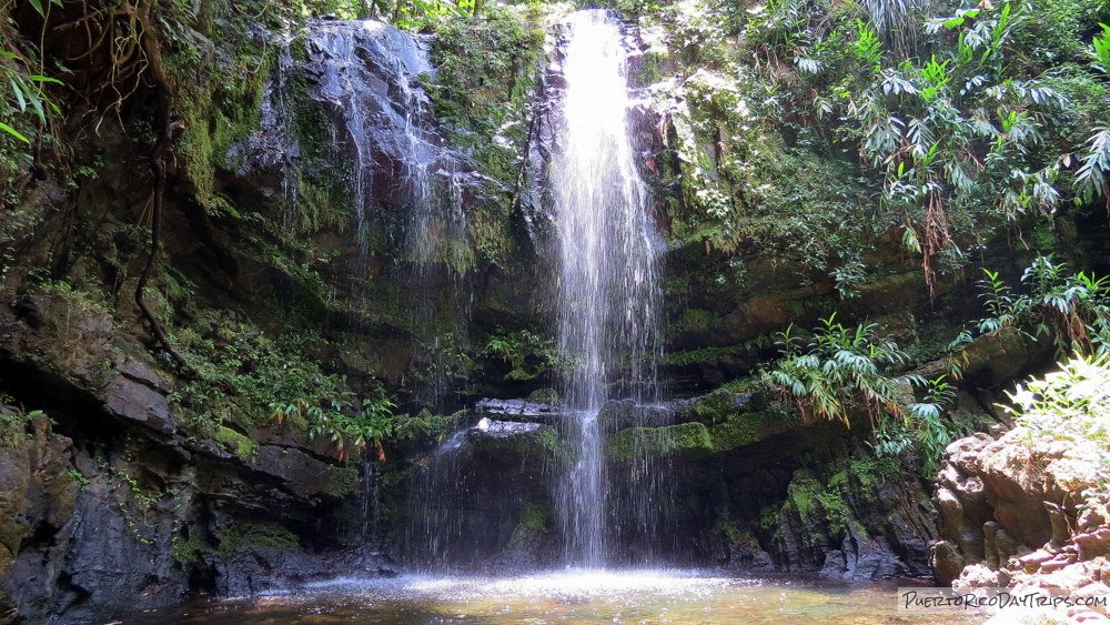 PRDayTrips's tweet photo. Pretty As A Picture #PuertoRico #EstaEsMiIsla #PicOfTheDay #potd #ttot https://t.co/0LIxME7RXT