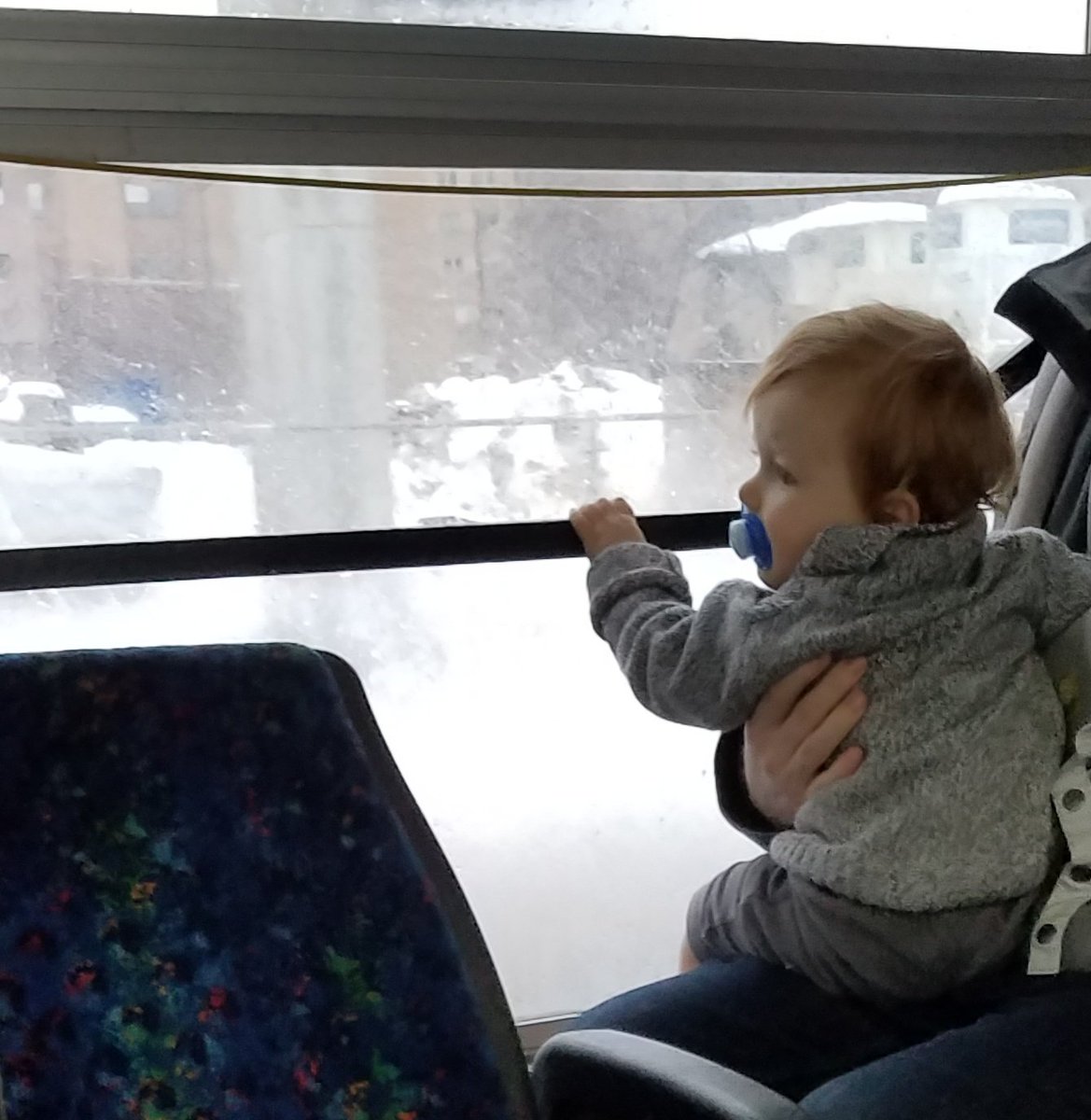 m_prosen's tweet photo. @MetroTransitMN @tpt @MetroTransitMN Thanks for bringing me to #BeMyNeighborDay! My first bus ride! https://t.co/OyvjZytCOz