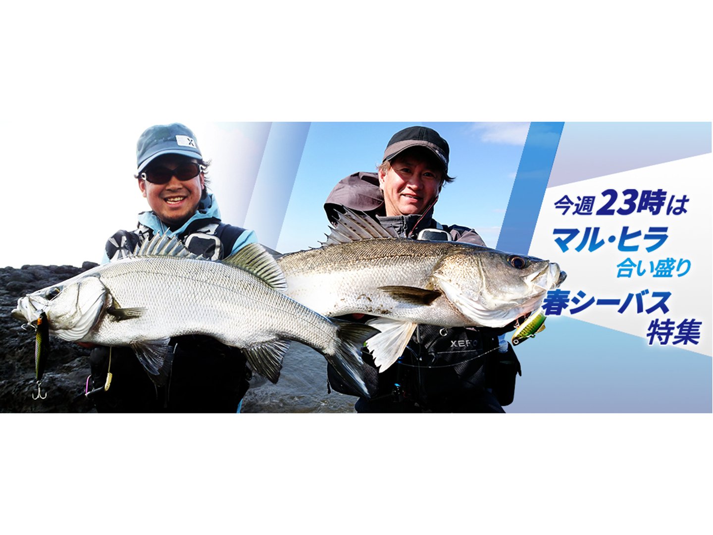 辺見哲也 Twitter Search Twitter