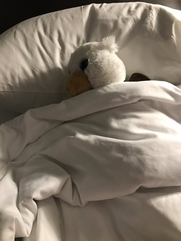 Jodi Patterson tweet media