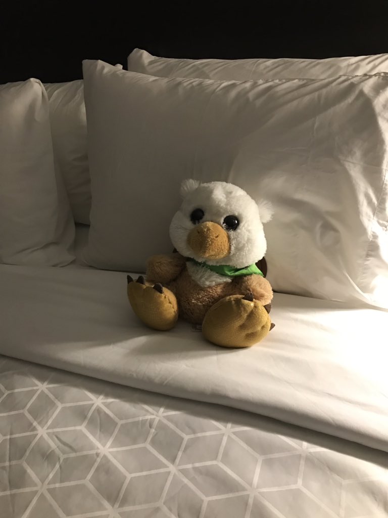 Jodi Patterson tweet media