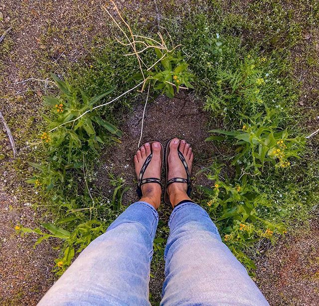 earth_runners_'s tweet photo. 11 more days until Spring 🌻🌸🌼 But who’s counting? (📷: @Heyjcv) 🌱
#naturetime #barefoothiking #adventureladies #rewilding #earthconnection #barefootsandals #barefootwalking #earthingshoes #barefootgirls #sundayhikes #sundayhikeday https://t.co/OHsZY1NJxA 11 more days un… https://t.co/U5fAjxZeiF