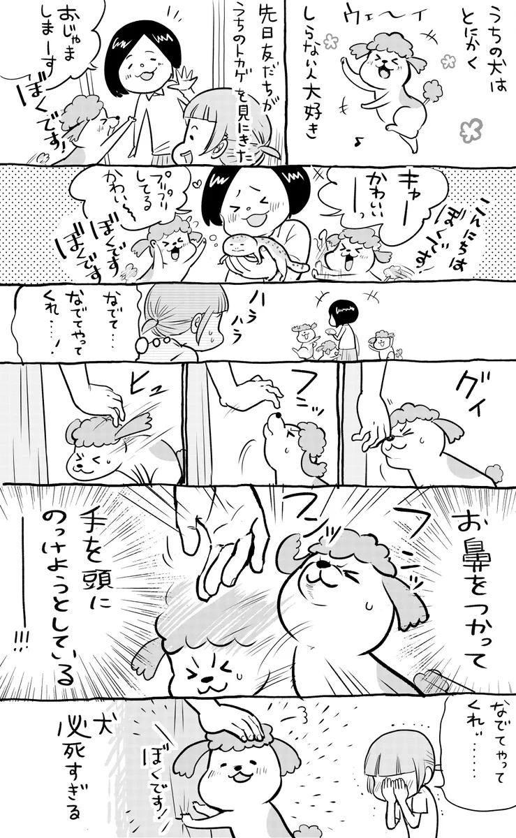 犬と猫の来客時の対応が真逆すぎて草wwどっちも必死ww