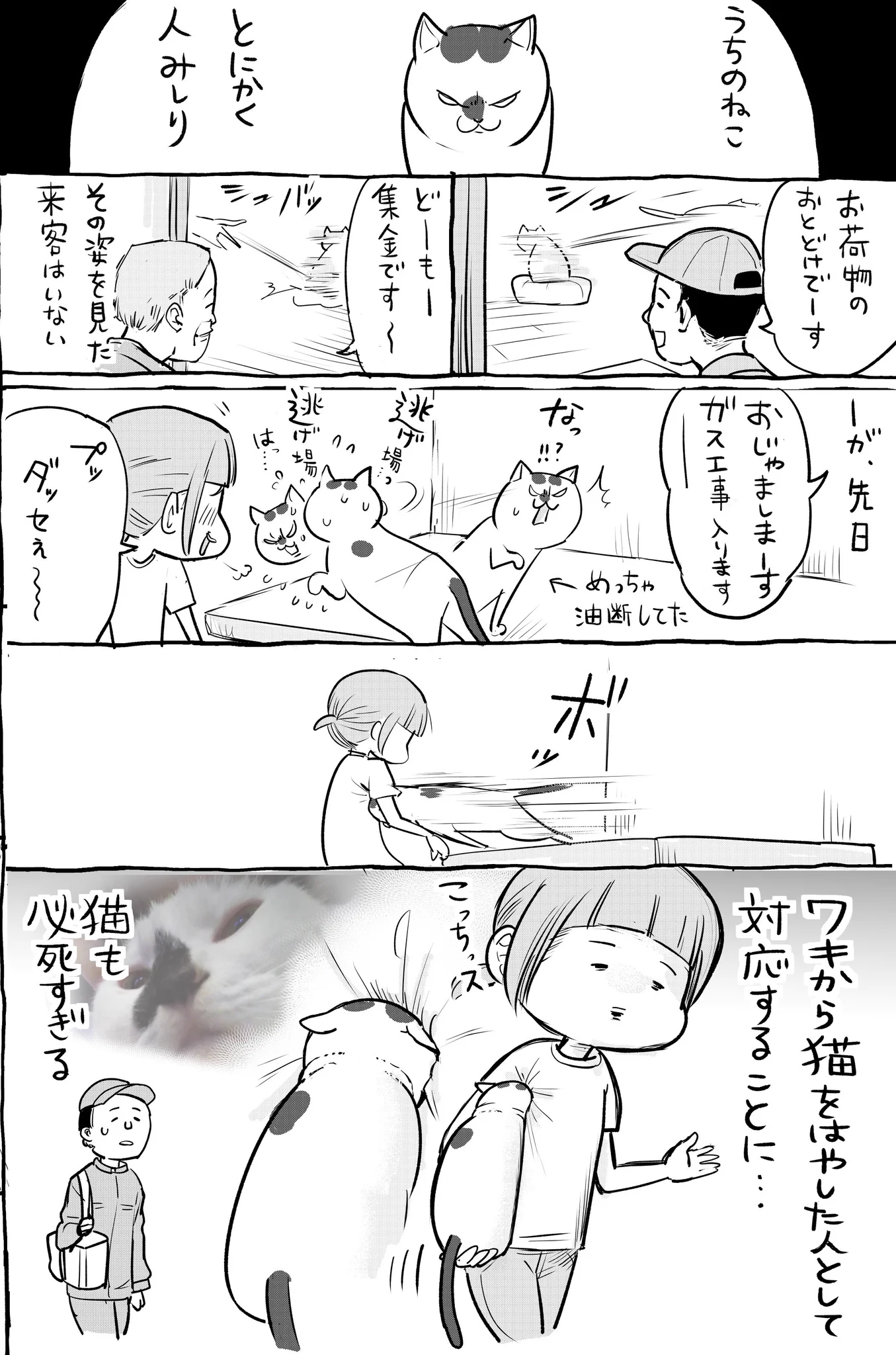 犬と猫の来客時の対応が真逆すぎて草wwどっちも必死ww