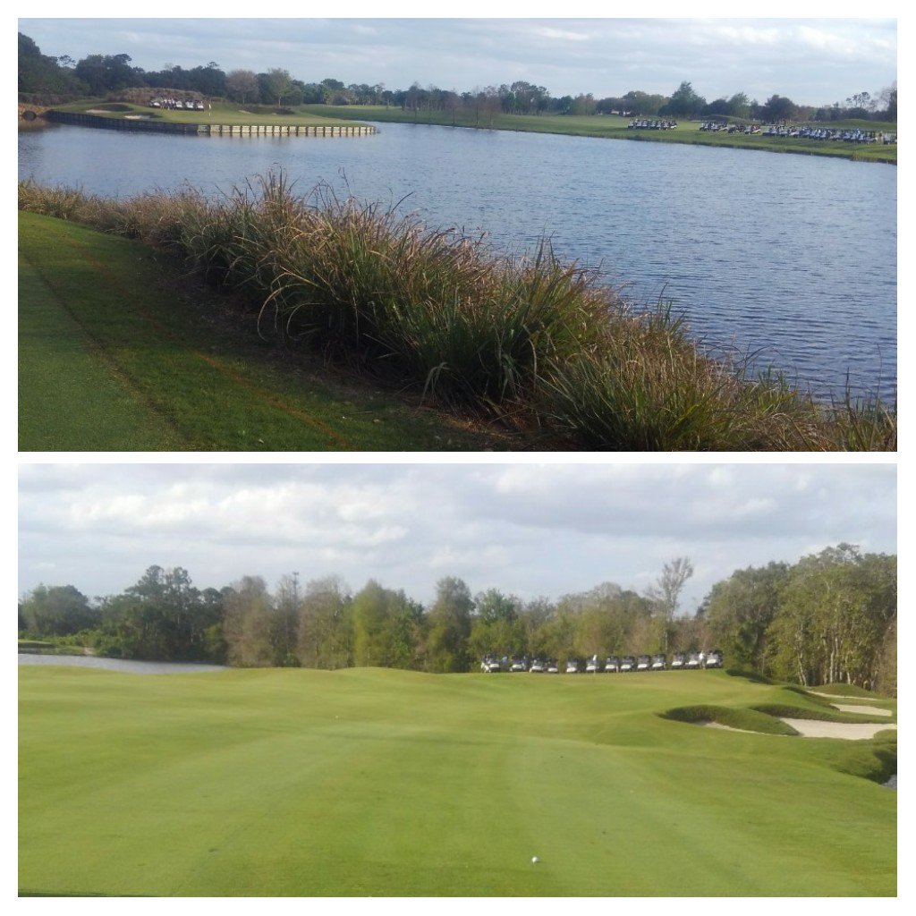 BryceGibson8's tweet photo. Big galleries out tonight watching Tartan M/G Shootout! Proud of Grounds Team, course is dialed in for our members and guests! I see why Stuart always enjoys this tournament. #1stM/Ginthebooks #thisismyoffice #turflife https://t.co/hKrqxRujrl