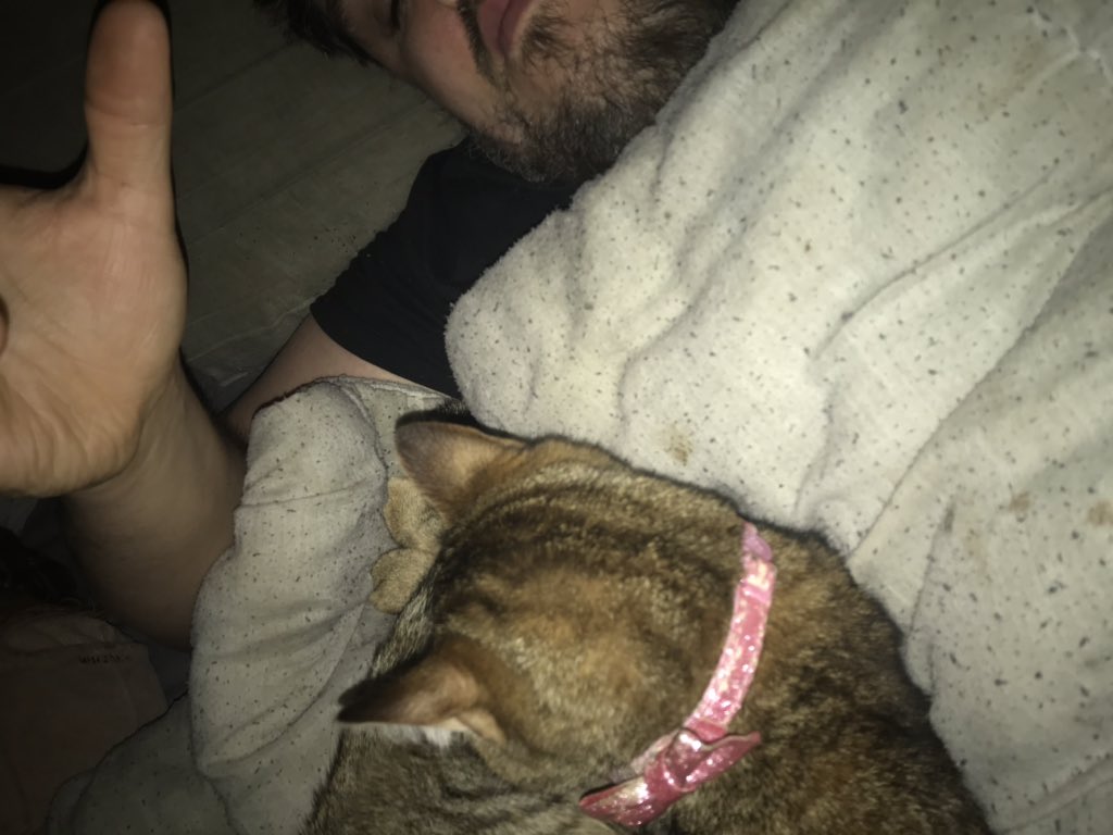 CMDR_Gio's tweet photo. @helloitskolo My unknown bed buddy https://t.co/ldJIPRlvoO