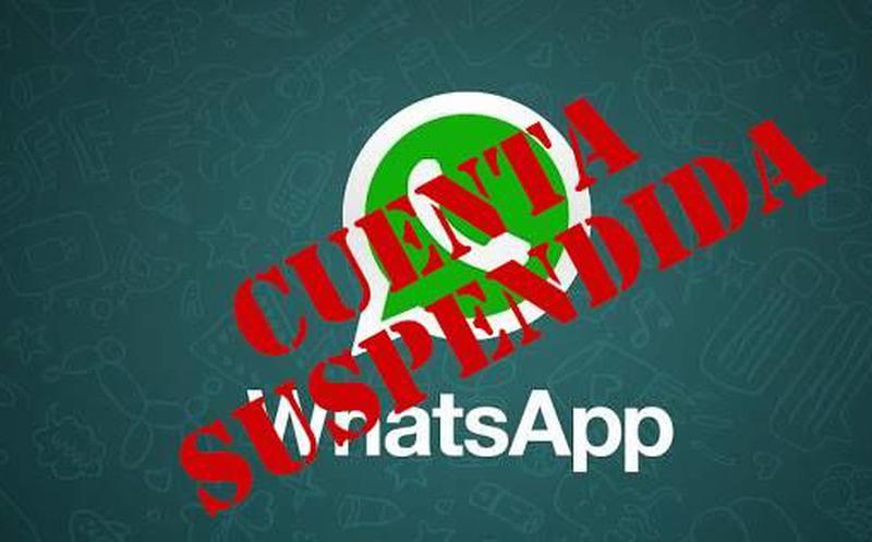 Ecuavisa on Twitter: "#WhatsApp está suspendiendo las cuentas de sus  usuarios. Mira la razón ???????? https://t.co/onhxIy6054… "