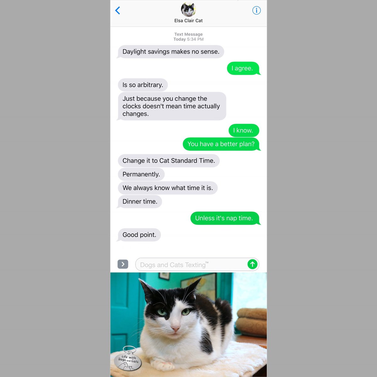 DogsAndCatsText's tweet photo. I think my cat is on to something here. #CatStandardTime. You always know what time it is: dinner time. (Or maybe nap time.) #DaylightSavingTime #textfromcat https://t.co/GXidxXEQWD