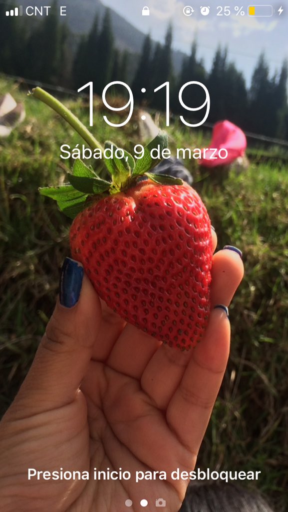 Vrit09's tweet image. Treinta primaveras llegan a tu vida llena de bendiciones Gracias a Dios por el infinito amor 🥰