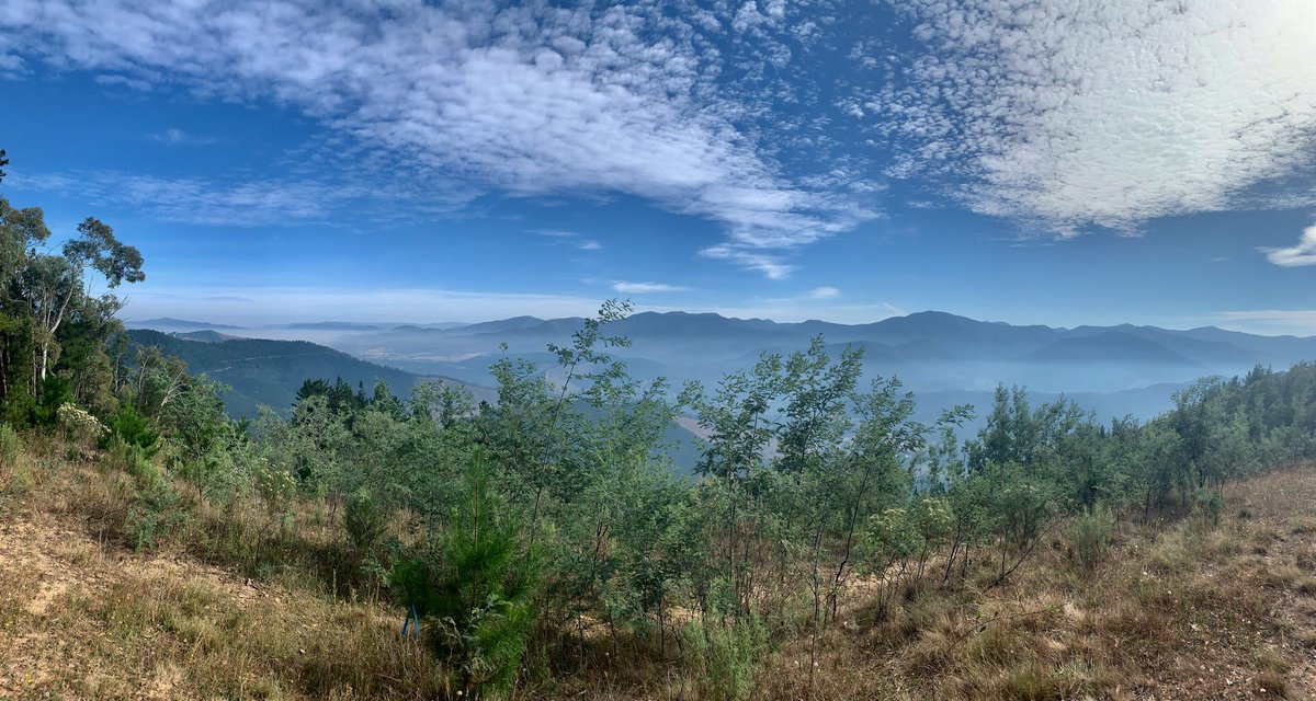 FlightActive's tweet image. Amazing #views from Mystic launch this morning for our early flights  #paragliding #mountains #photography #outdoors