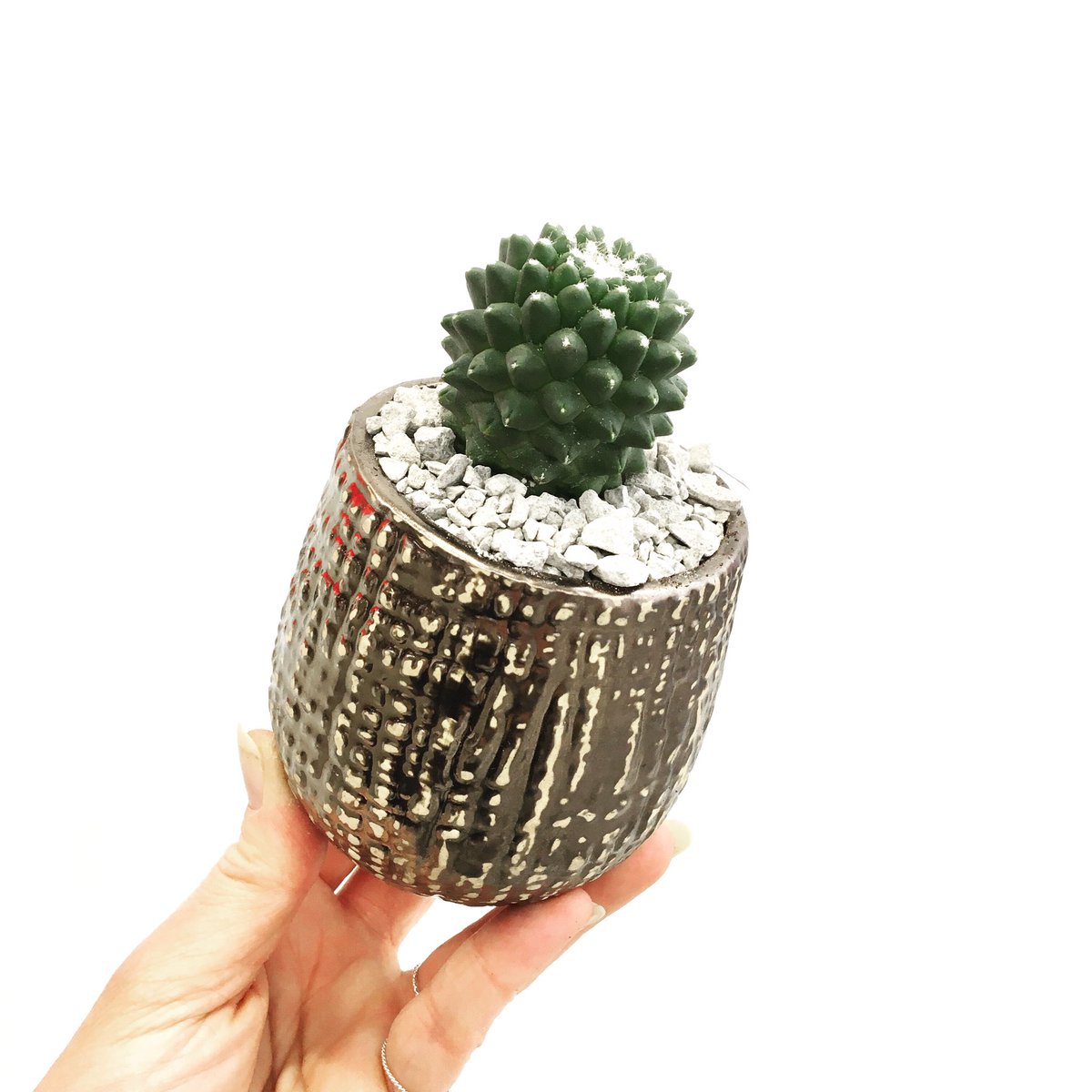 twig flowers tweet media