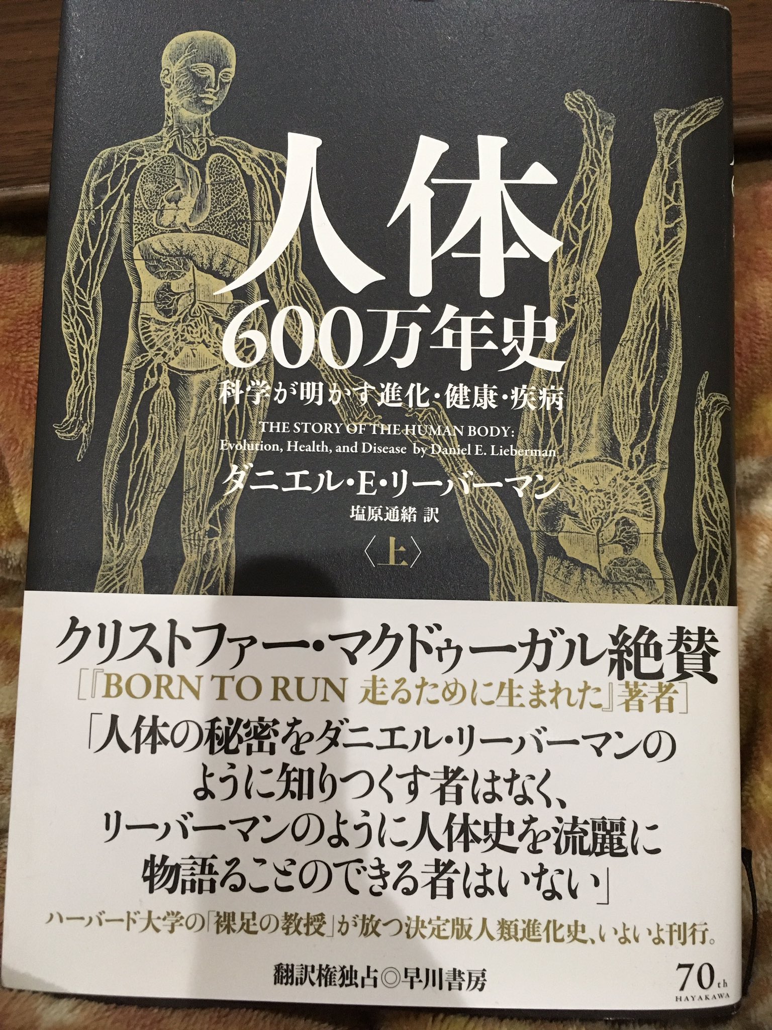 高木康成 鍼灸マッサージ師 スポーツトレーナー Pldskt14 Twitter