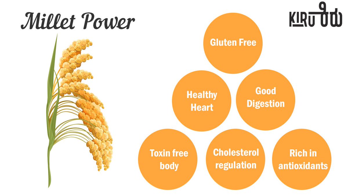Kiru_Millet's tweet photo. An overview of millets and health benefits : https://t.co/FXKiuplU2s
#kiru #milletforhealth #millet https://t.co/CeqClqJgkc