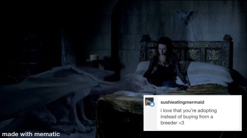 incorrect merlin quotes (@incorrectmerlin) on Twitter photo 