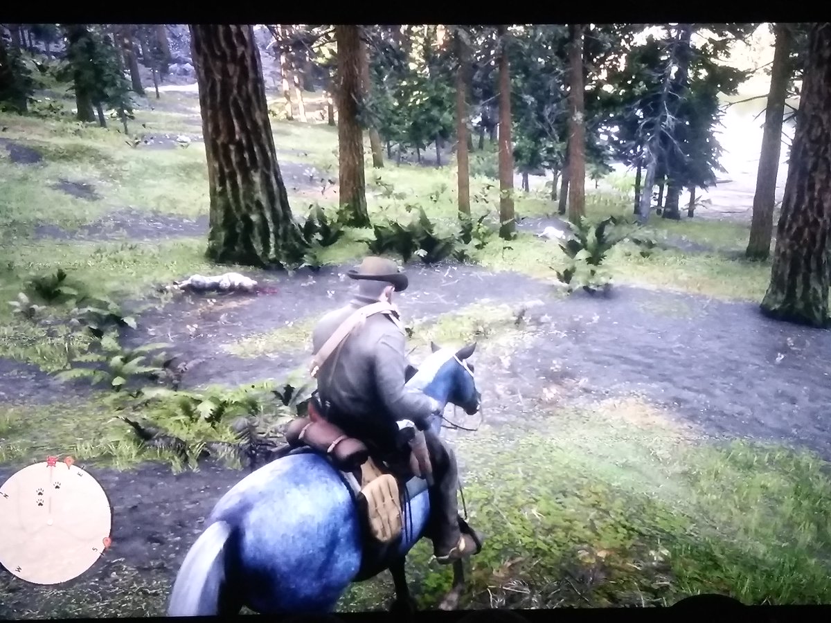 SfMikey's tweet photo. @TrippyComms ,threw a Molotov at the huts, and no thunderstorm..but i did get attacked by 3 wolves.. Came out of nowhere when i attacked the huts https://t.co/Qbwe5oEjTE