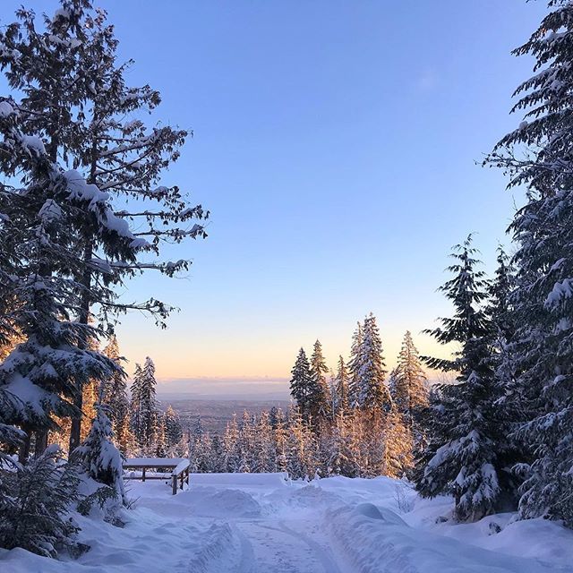 stevebebb's tweet photo. Yup. Still alive. Island life is a real thing. experienced a wicked fall and winter, connecting with the outdoors like a stoked kid at Xmas. https://t.co/dJNRPpXTOg
