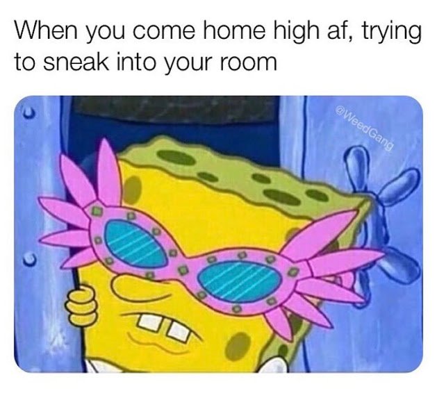 HerbboxI's tweet photo. Hit ❤️ If You Come Home Stoned AF &amp; You Have To Sneak In To Your Room 😂🍀💨
.
Don't Forget To Share To Show Support For HERBBOX! https://t.co/cglqn995Ii