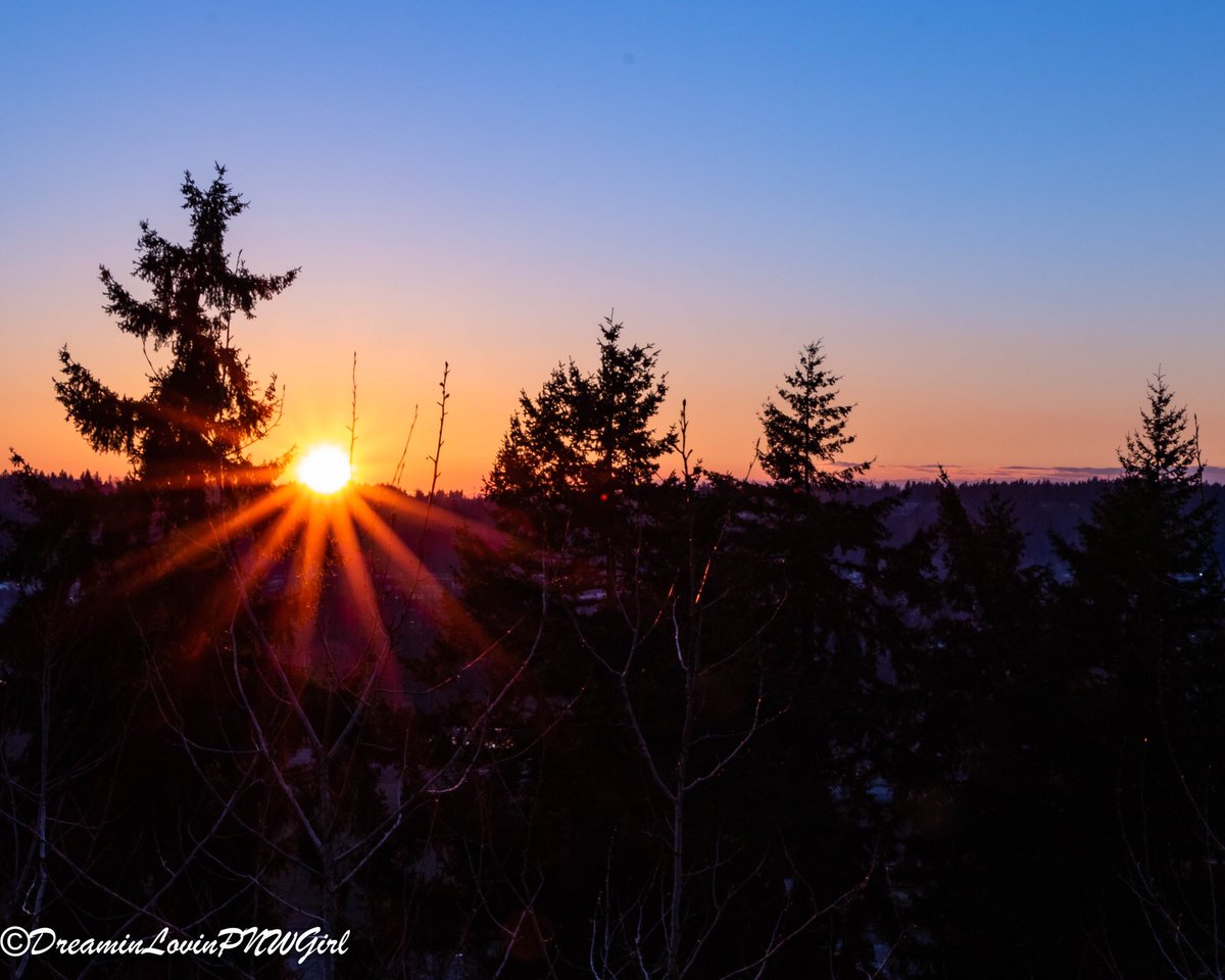 LovinPnw's tweet photo. Today was just perfect in the #PNW Spring is on The way!
.
.
.
.
#wonderfulwashington #pnwphotographer #pnwonderland #washingtonstate #liveinthemoment #nature #naturebeauty #sonorthwest #explorewashington #explorewashingtonstate #sunset #pnwsunset https://t.co/nA1id4cExf