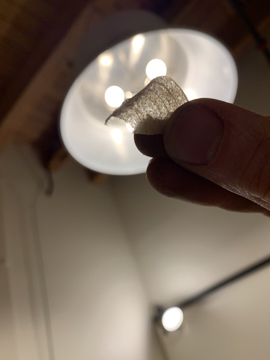 Nick Ditmore is extremely logged out tweet media