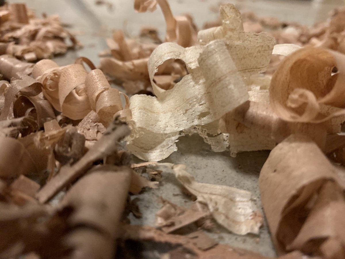 Nick Ditmore is extremely logged out tweet media