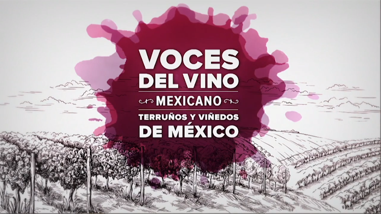 México Selection by CMB tweet media