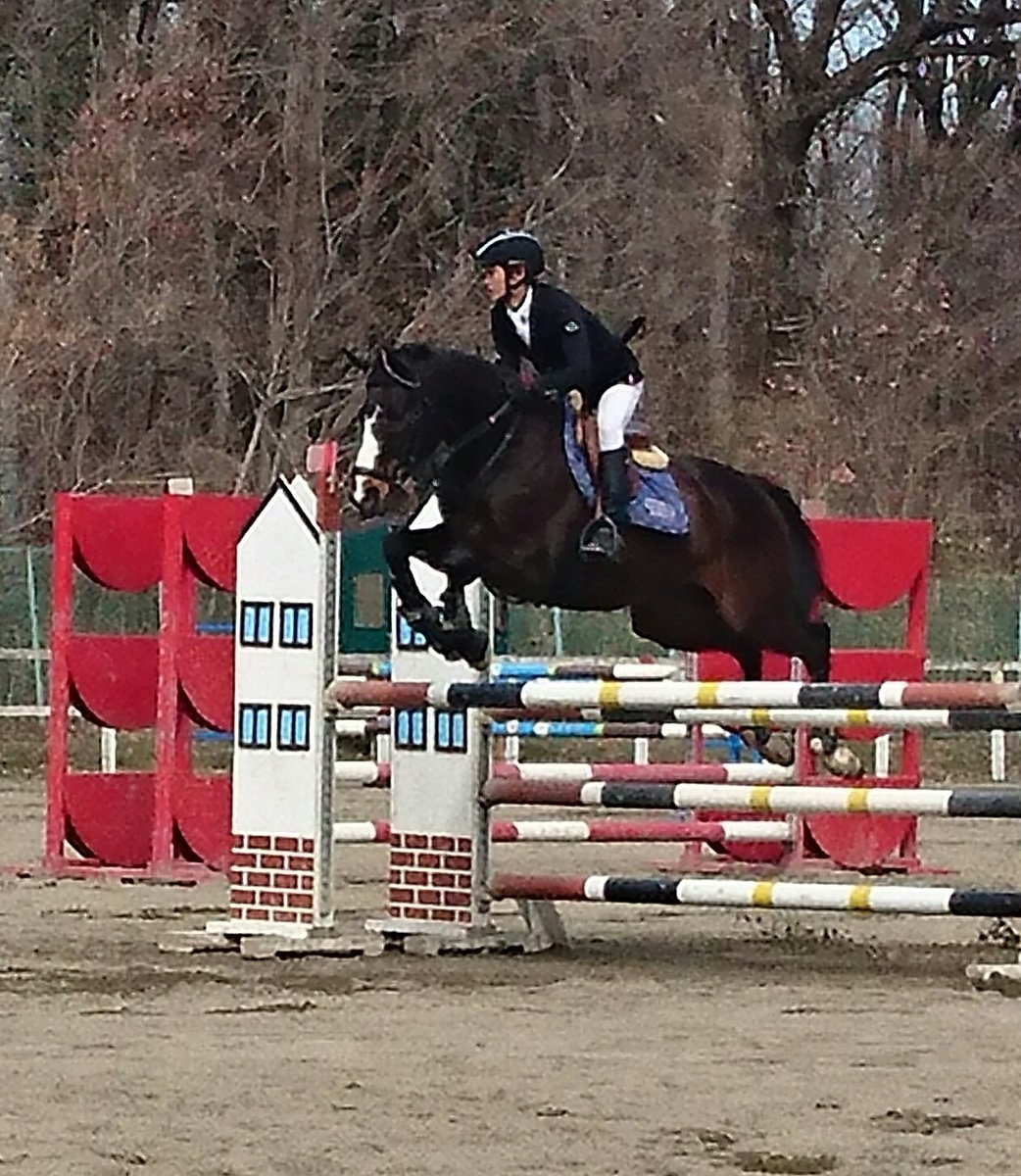 馬の高校 専門校インターアクションホースマンスクール 馬術競技会結果速報 壬生ジャンピングホースショー1 2日目 110cm 村尾くん アブソリュート 満点 1cm 村尾くん アブソリュート 4位 80cm 本間さん ストロングロビン 完走 詳しくは後日のスクール